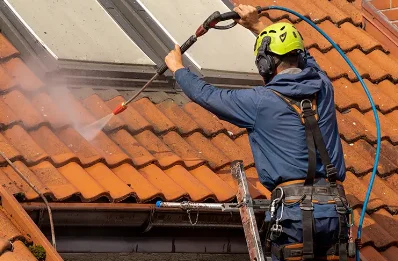 Démoussage et hydrofuge de toiture à Bessans